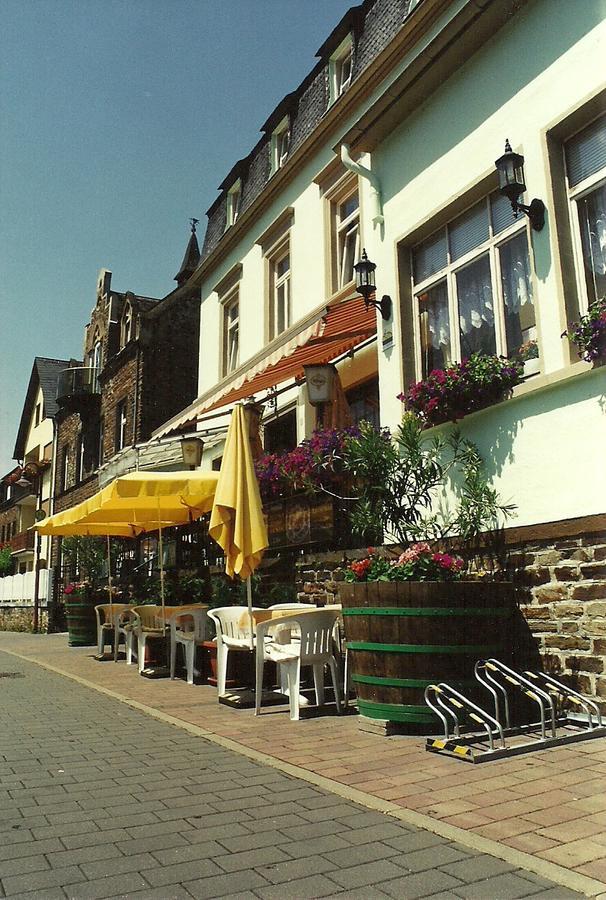 Gasthaus Zur Traube Hatzenport المظهر الخارجي الصورة